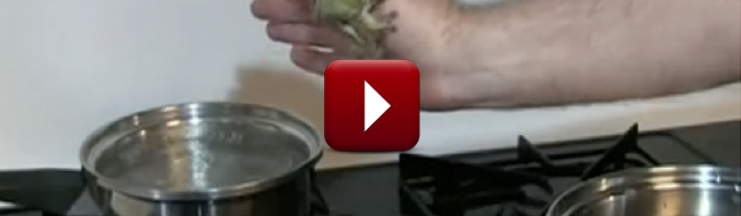 Boiling Frog Experiment